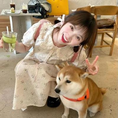 幼狮王朝