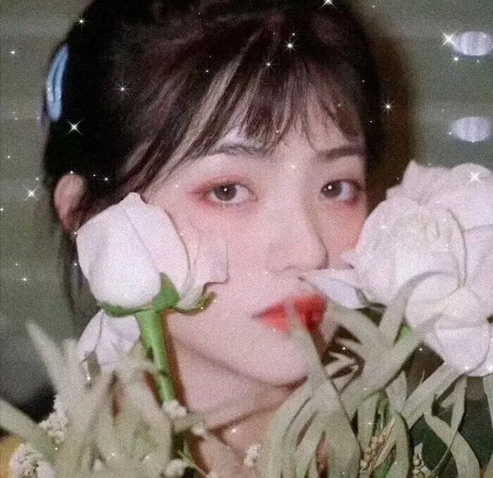 圣欲